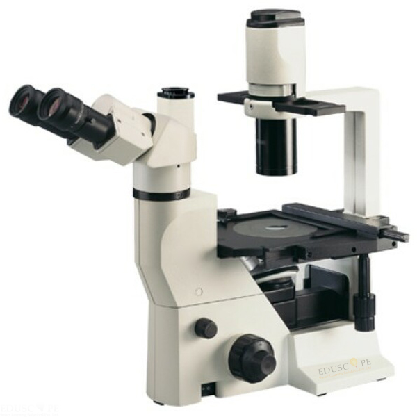 Trinocular Inverted Phase Microscope