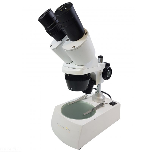 Microscope Stereo Binocular 20-40x LED